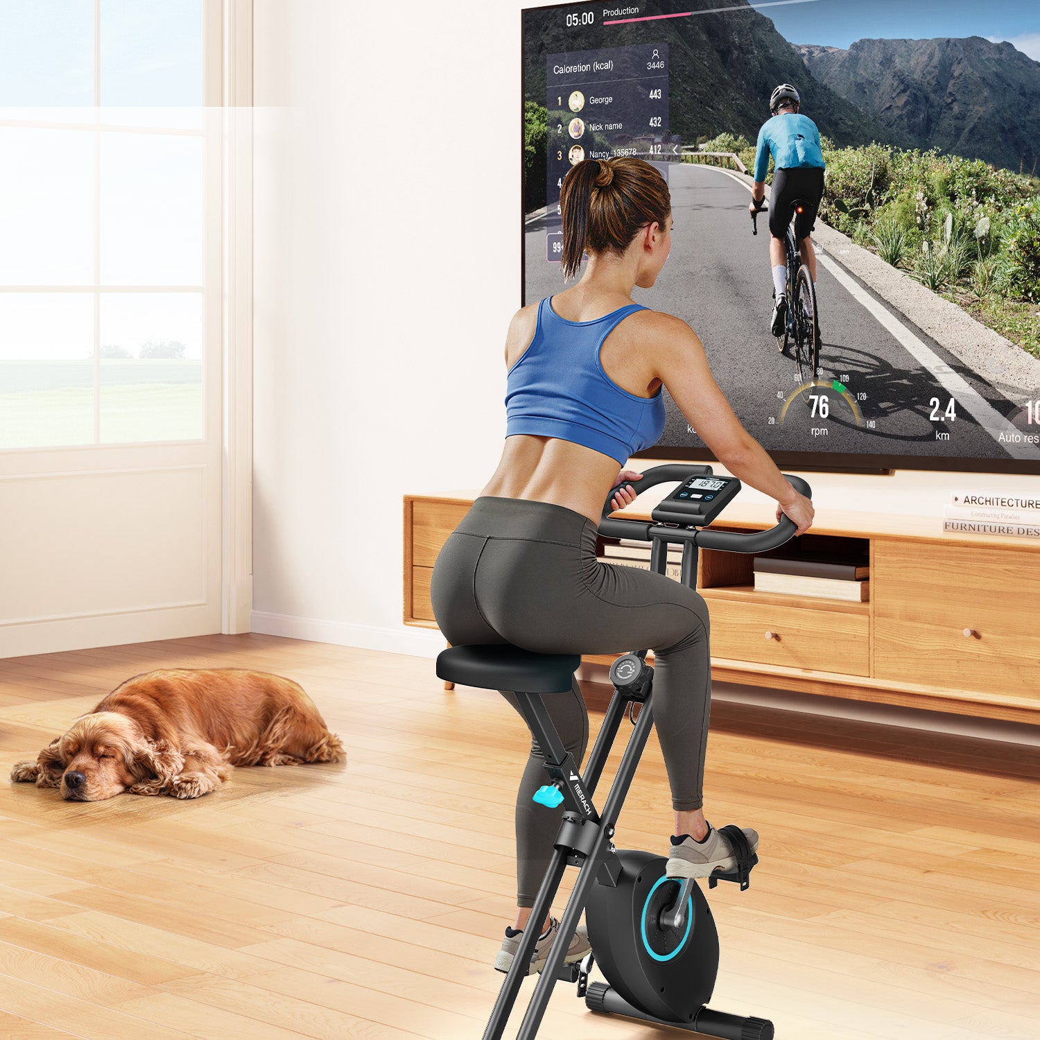 Merach S14L2 4-in-1 Folding Exercise Bike